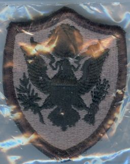 Armabzeichen U.S.Army Personnel in DOD and Joint Activities, ACU Digital