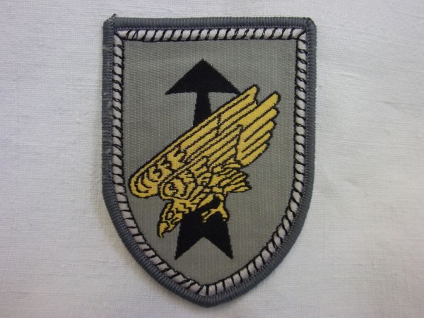 Verbandsabzeichen, Division Schnelle Kräfte Modell 2015