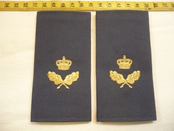 Rangschlaufen/Funktionsabzeichen für Zivile Angehörige der Armee Krone mit 2 Eichenblättern auf blau (2. Klasse/C200)