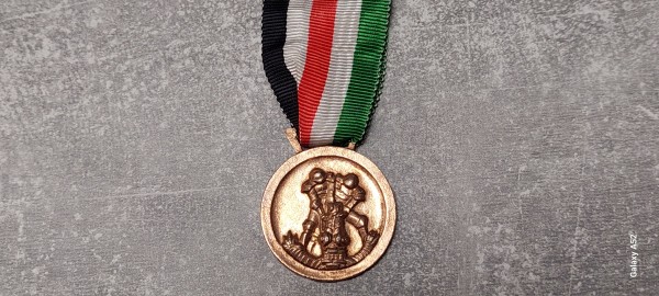 Deutsch- Italienische Feldzugsmedaille am Band