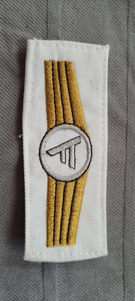 Tätigkeitsabzeichen Führungsdienstpersonal in silber mit gold maschinengestickt auf weiß