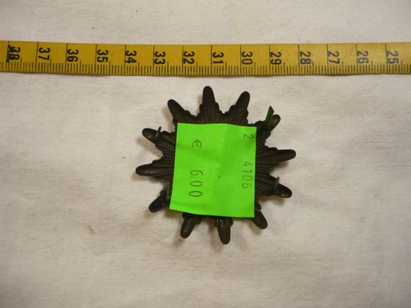 Thueringen: Mützenstern, Polizei Thüringen, Metall, zweiteilig