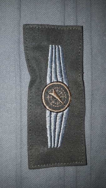 Tätigkeitsabzeichen, Radarleitpersonal bronze auf oliv