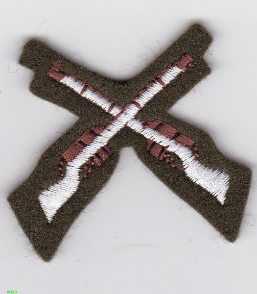 Armabzeichen Weapons Training Instructor- Rifle Marksman bunt auf grün