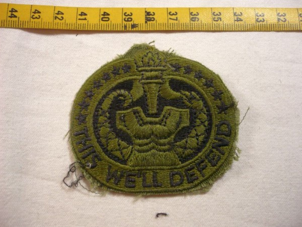 Brustabzeichen, Drill Instructor School, tarnfarben ( OD )