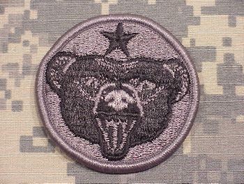 Armabzeichen US Army Alaska, ACU Digital 