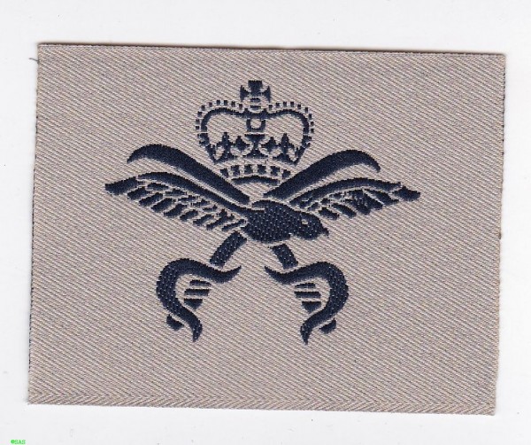 Armabzeichen Rangabzeichen, RAF Physical Training Instructor schwarz in khaki- beige 