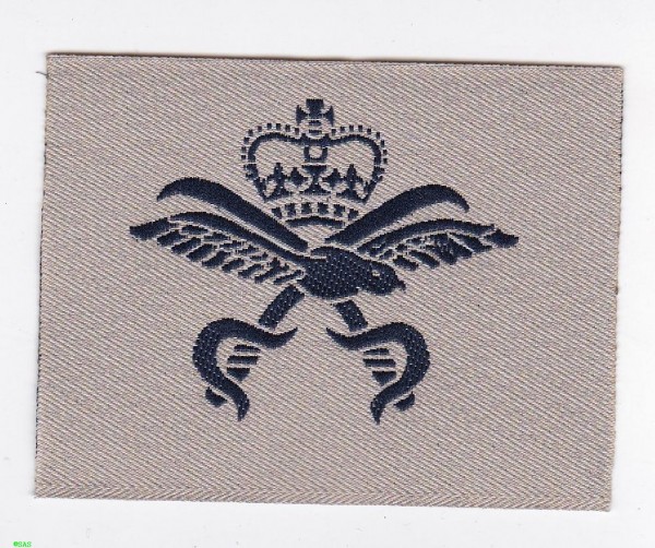 Armabzeichen Rangabzeichen, RAF Physical Training Instructor schwarz in khaki- beige