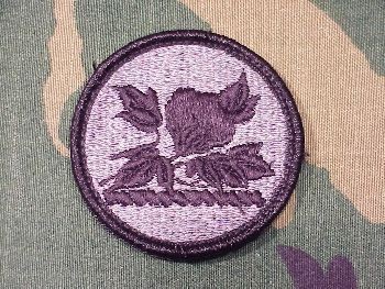 Armabzeichen Alabama National Guard, ACU Digital 