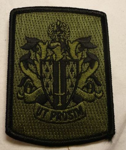 Armabzeichen Virginia Tech Corps of Cadets, tarnfarben