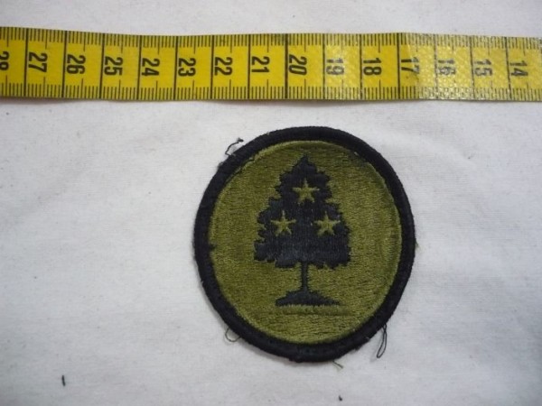 Armabzeichen National Guard Tennessee, tarnfarben ( OD )