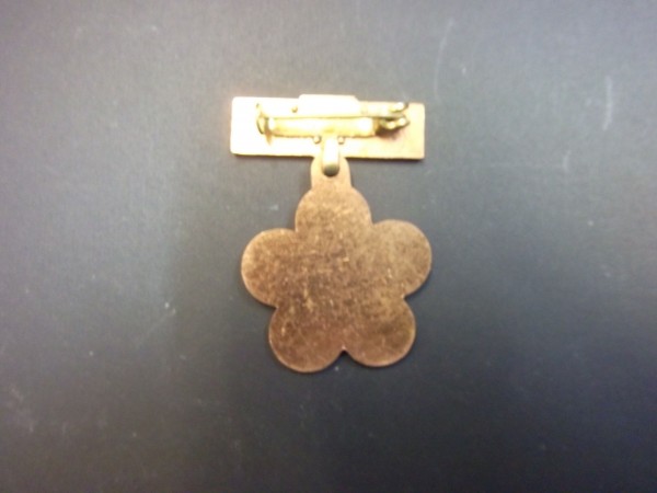 Abzeichen FDJ Festival Aufgebot 1973   