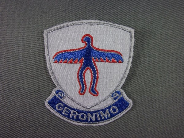 Aufnäher Patch 501st Infantry Regiment Geronimo Vietnamzeit - Verbandsabzeichen Infantry