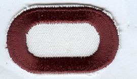 Brustabzeichen, Background Trimming, Oval, 307th Medical Battalion ( AB )
