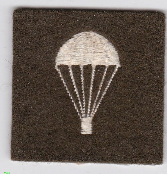 Armabzeichen Course only trained parachutist weiß auf grün