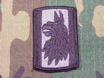 Armabzeichen 470th Military Intelligence, ACU Digital