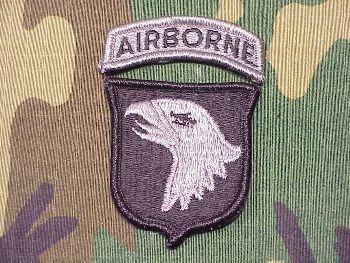 Armabzeichen 101st Airborne Division mit Schriftzug in einem Stück, ACU Digital