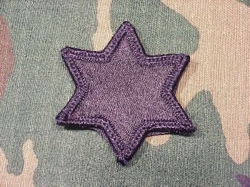 Armabzeichen 6th Infantry Division, ACU Digital, SONDERPREIS !!!