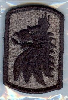 Armabzeichen 455th Chemical Brigade, ACU Digital