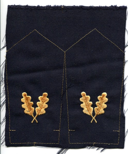 Schulterklappen Trapo - Transportpolizei 1989 - 1990 Chefinspekteur