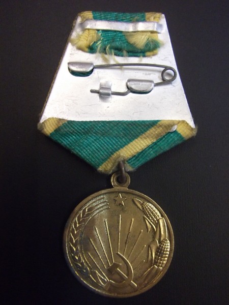 Medaille für die Erschließung von Neuland, Typ 1