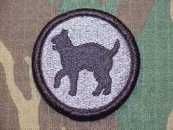 Armabzeichen 81st Infantry Division, ACU Digital
