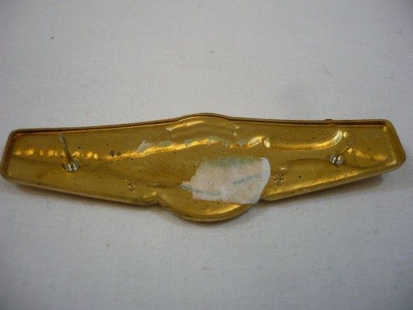 Tätigkeitsabzeichen, Schwimmtaucher, Gold, Metall  