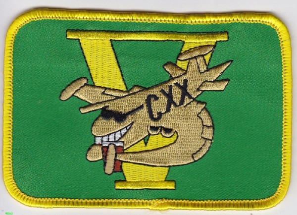 Armabzeichen V CXX Squadron