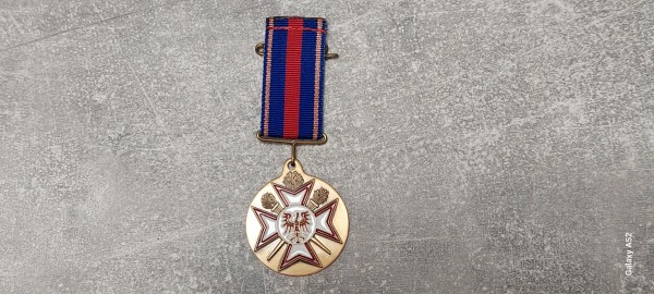 Brandenburg Medaille Freiwillige Feuerwehr "Für Treue Dienste" in bronze 20 Jahre