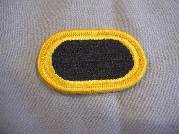 Brustabzeichen, Background Trimming, Oval, 327th Infantry (101st Airborne Div - AASLT)