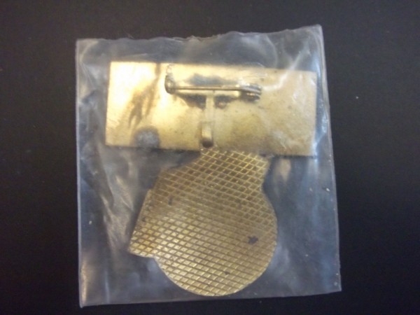 Abzeichen Freundschaftszug der Gesellschaft für Deutsch Sowjetische Freundschaft   