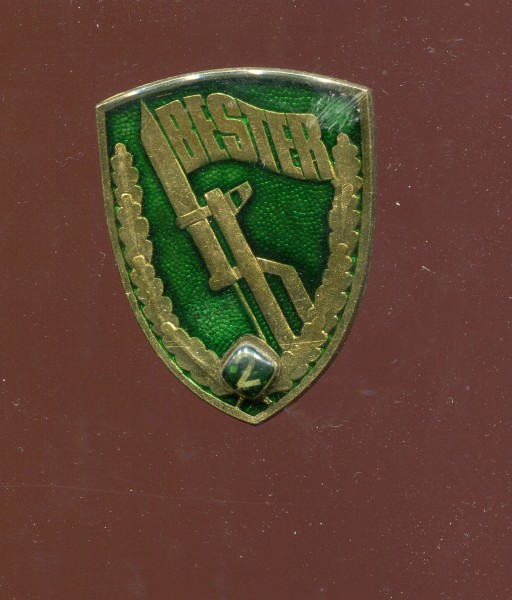 DDR Bestenabzeichen Grenztruppen mit Zahl 2 - Bartel 602a - 1986-1990