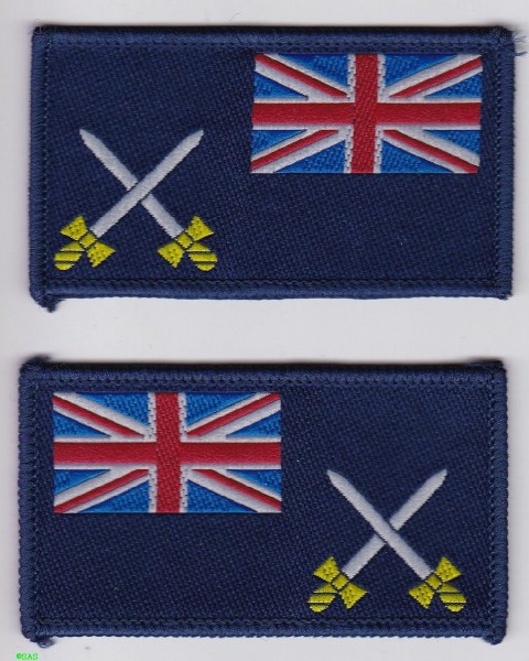 Armabzeichen Army Department Fleet -RLC- links und rechts 
