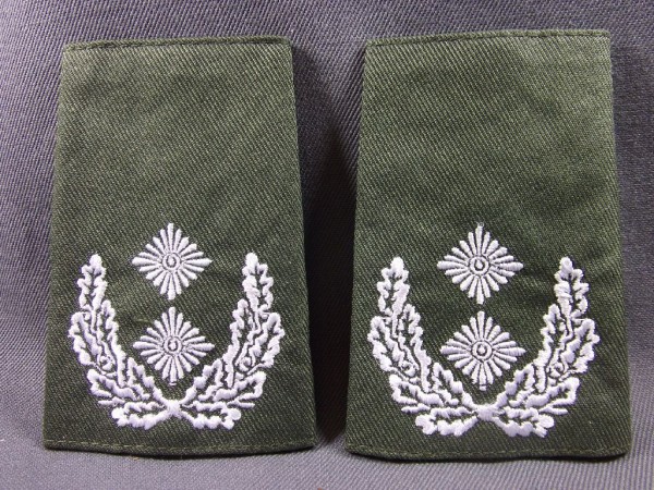 Rangschlaufen Oberstleutnant weiß auf oliv