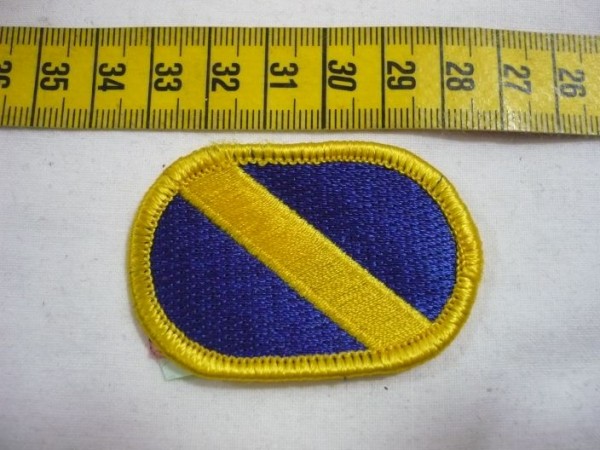 Brustabzeichen, Background Trimming, Oval, 101st Pathfinder Co (Abn) 