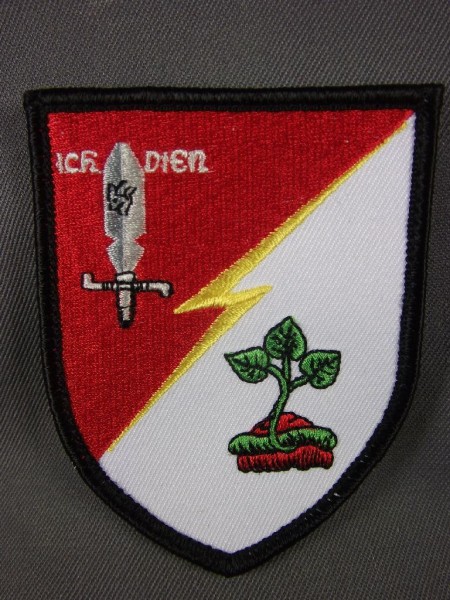 Verbandsabzeichen FüUstgBtl 286 mit Klett Wenn alle, dann keine Lieferung mehr möglich!!!