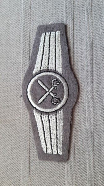 Tätigkeitsabzeichen, Personal im allgemeinen Heeresdienst, silber auf grau 