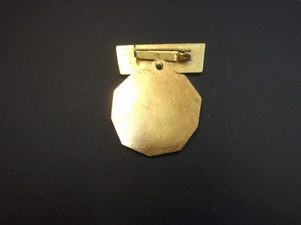 Abzeichen, GST Abzeichen "Für vormilitärische und technische Kenntnisse" Bild ist ein Muster !!