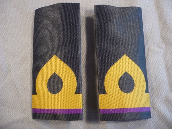 Rangschlaufen Fähnrich/ Fänrik/ Ensign Küstenartillerie
