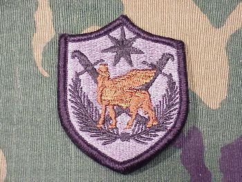 Armabzeichen Multi National Force for Iraq U.S. Army Reserve, ACU Digital