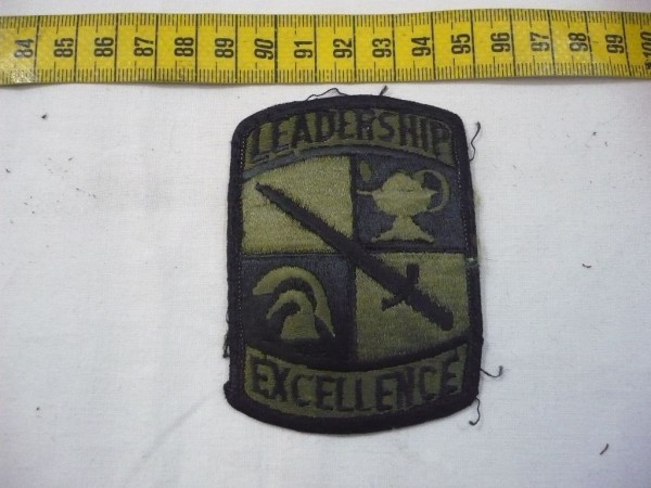Armabzeichen Army ROTC Cadet Command, tarnfarben ( OD )