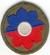 Armabzeichen 9th Division, bunt