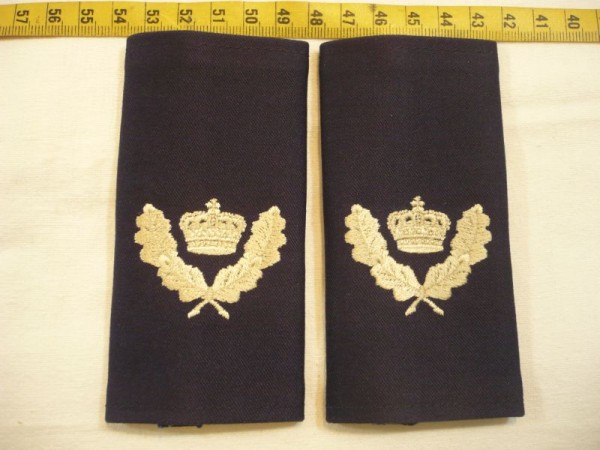 Rangschlaufen/Funktionsabzeichen für Zivile Angehörige der Armee Krone mit 4 Eichenblättern auf blau (3. Klasse/ C300)