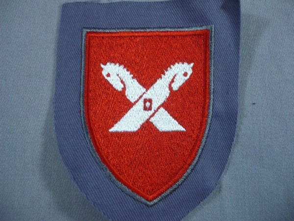 Verbandsabzeichen, Panzerbrigade 8