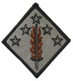 Armabzeichen 20th Support CMD, ACU Digital, SONDERPREIS !!!!