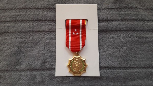 Philippine Defense Medal Miniatur