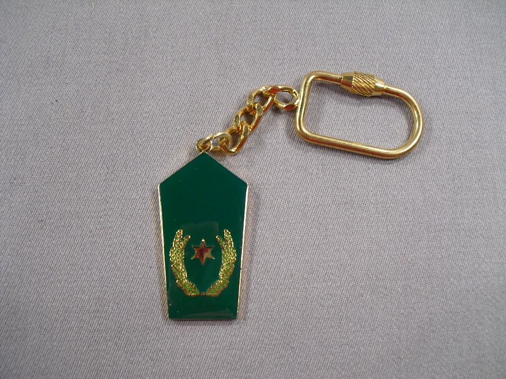 Allgemein: Schlüsselanhänger Polizei Schulterklappe, 1 Stern gold und  Eichenlaub auf grün, Metall