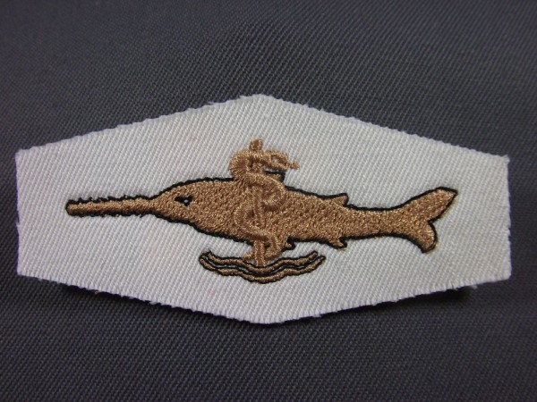 Tätigkeitsabzeichen Taucherarzt bronze auf weiß, Schlange in bronze