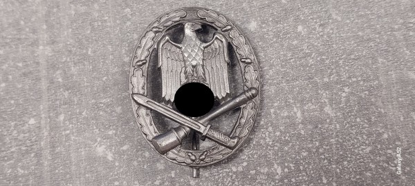 Allgemeines Sturmabzeichen in silber Frank & Reif