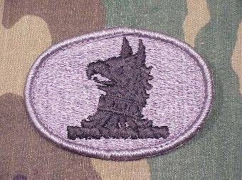 Armabzeichen Delaware National Guard, ACU Digital